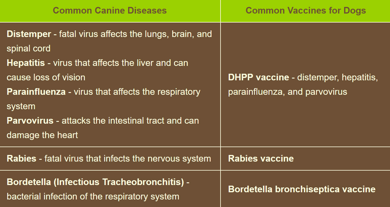 Canine Chart
