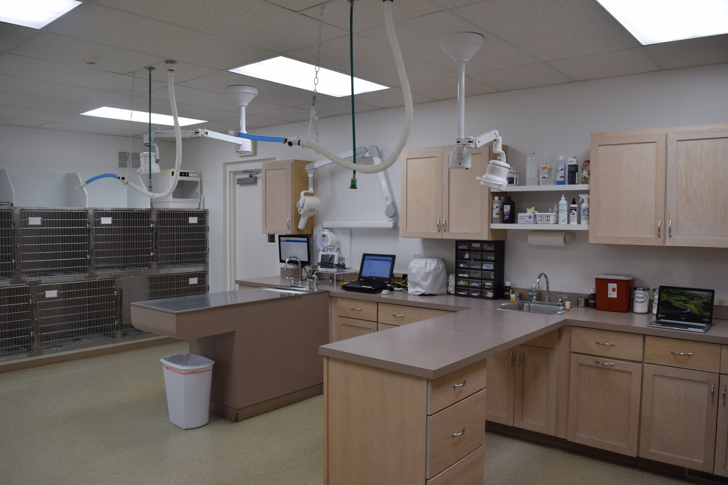 Treatment Area 