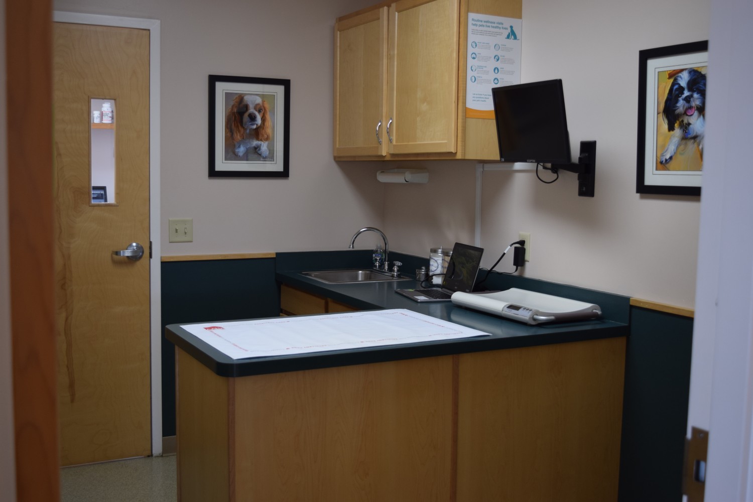 Examination Room