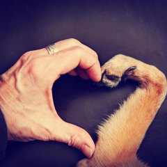 Hand Paw Heart