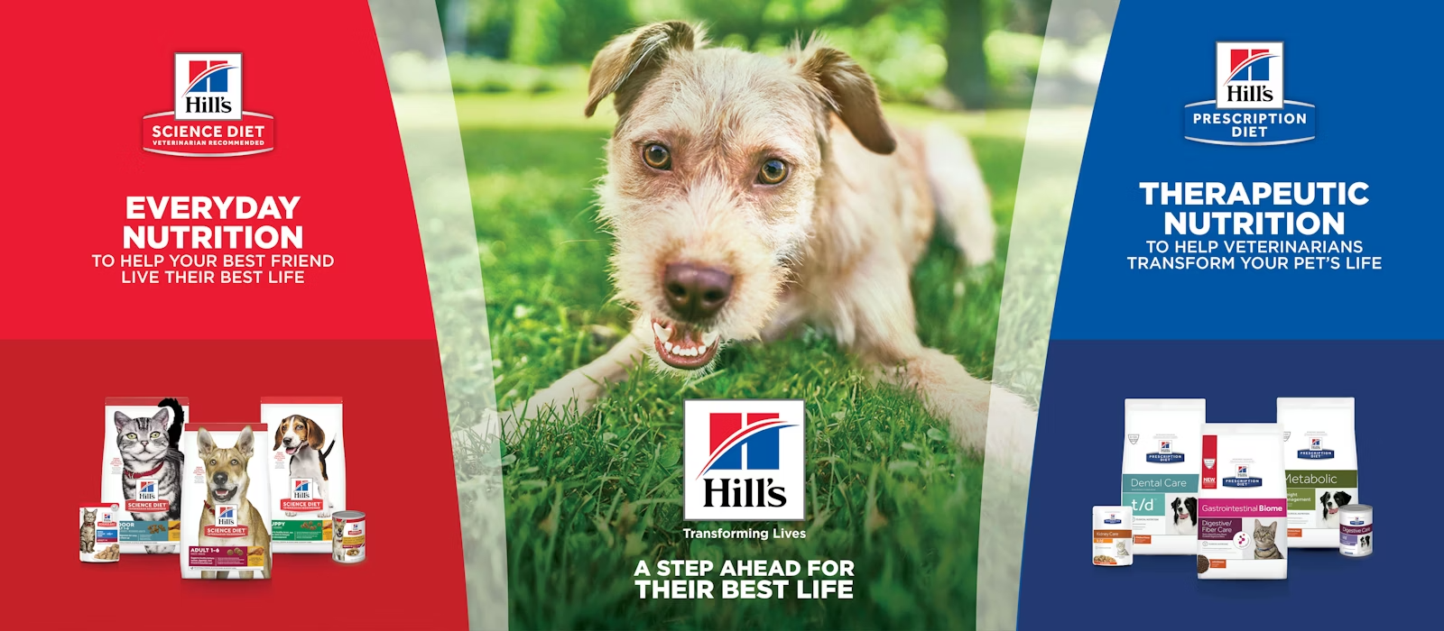 Hills to Home Banner