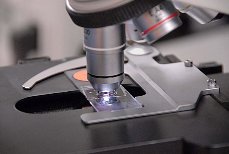 Microscope with Slide